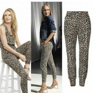 cabi cheetah joggers!